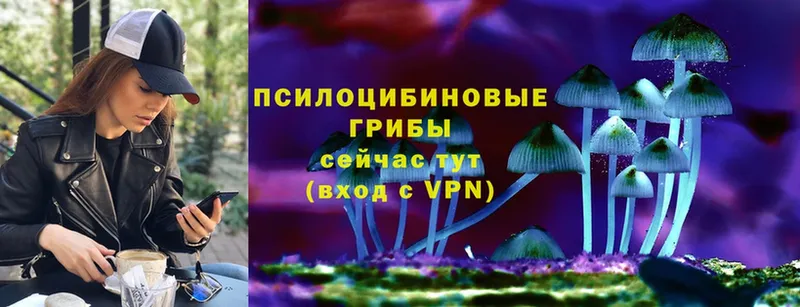 что такое наркотик  МЕГА маркетплейс  Галлюциногенные грибы Psilocybe  Десногорск 